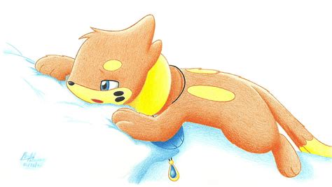 Buizel Floatzel Hd Wallpaper Pxfuel