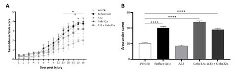 Treatment With The Pde4 Inhibitor Roflumilast Or The Pde4d Inhibitor