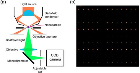 Single Particle Plasmonics For Materials Science And Single Particle