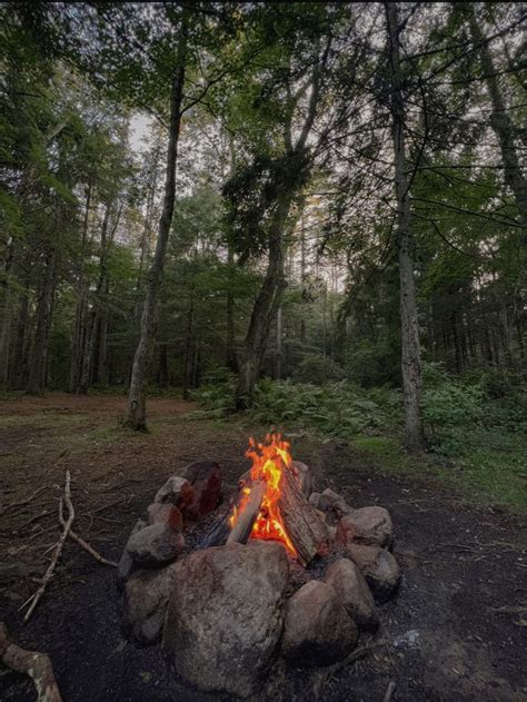 a campfire in the middle of a forest