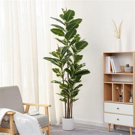 Amazon FLOWORLD Artificial Rubber Tree Plant 6ft Tall Faux Ficus