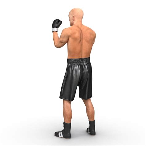 Adult Boxer Man Fighting Pose D D Max Obj Ma Fbx C D