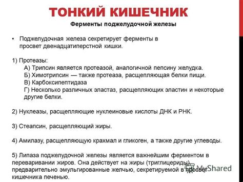 Презентация на тему: "Ходор Ольга Николаевна 3 курс 3 группа ...