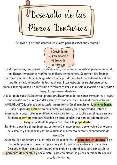 Desarrollo De Las Piezas Dentales Odonto Comunidad Udocz