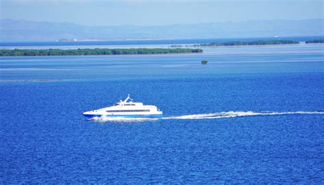 How To Get From Cebu To Bohol By Ferry Schedule Fare