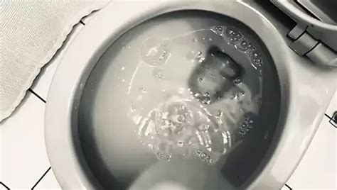 Jerkofffan S Porn Videos And Reels Nude Photos And Bio On Xhamster