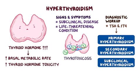 The Pituitary Gland And Its Disorders Physiology Test And Flashcards