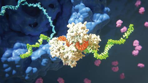 RNAi Therapeutics: To the Liver ... and Beyond