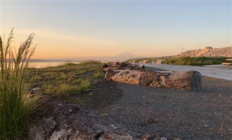 Dune Peninsula At Pt Defiance Park Metro Parks Tacoma