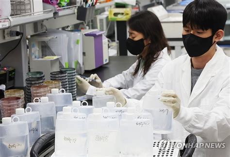 살모넬라·캄필로박터균 감염 한달새 2배…"잘 씻고 익혀드세요"