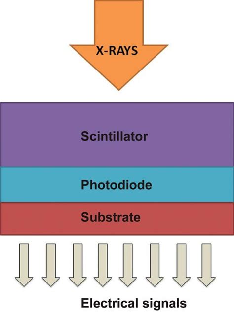 Diagram depicting energy-integrating scintillator detector. | Download ...