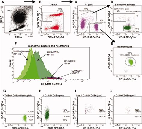 CD14 CD16 And HLADR Reliably Identifies Human Monocytes And Their