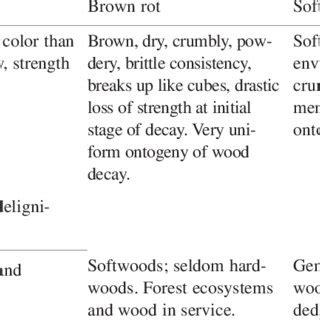 Anatomical Chemical Features Of Different Types Of Wood Decaying And