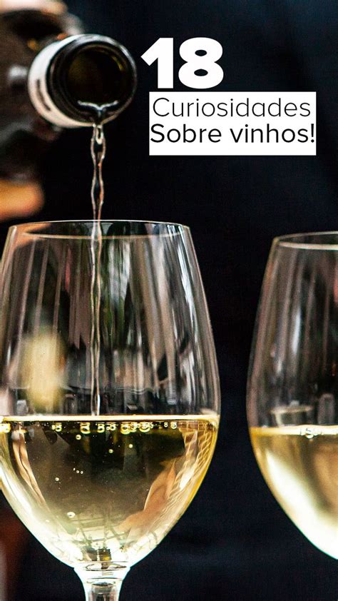 18 curiosidades sobre vinhos que você precisa saber Vinhos Vinhos e