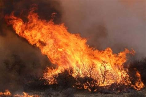 Argentina Más De Un Millón De Hectáreas Arrasadas Por El Fuego En