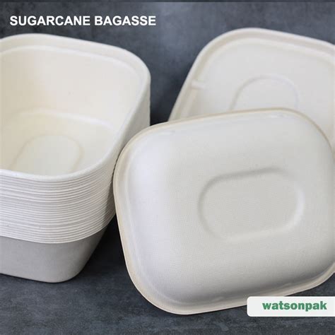 Watsonpak Biodegradable Food Container High Quality Natural Plant Fiber