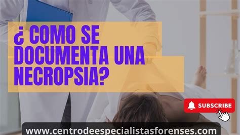 Cómo se realiza una necropsia YouTube