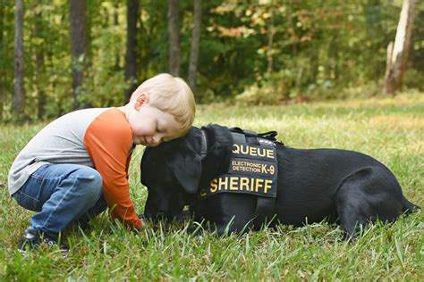 Le Labrador Retriever Queue Remporte Le Prix Du Service En Uniforme