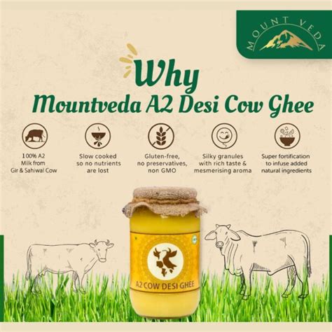 Mountveda Bilona A Ghee Desi No Chemicals Or Preservatives Pure