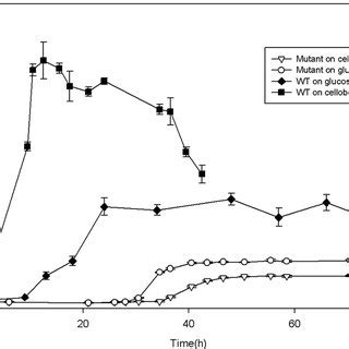 Growth Phenotypes Of Wild Type And CelR Deletion Strains Dry Cell