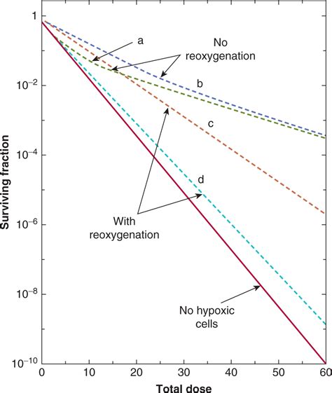 Tumor And Normal Tissue Response To Radiotherapy Oncohema Key