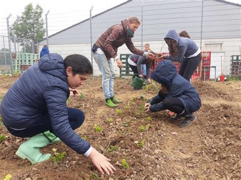 Acker 2019 Primus Schule Titz