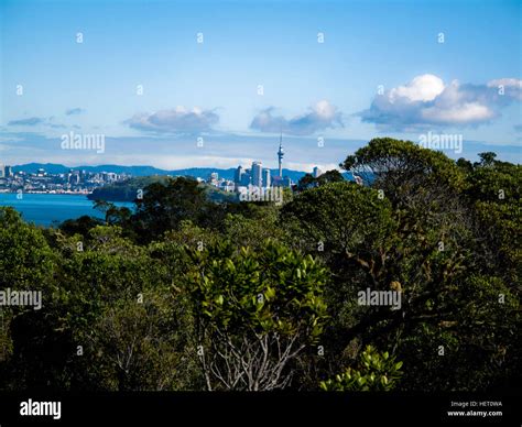 Mit Blick Auf Auckland Fotos Und Bildmaterial In Hoher Aufl Sung Alamy