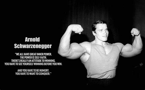 [100+] Arnold Schwarzenegger Wallpapers | Wallpapers.com