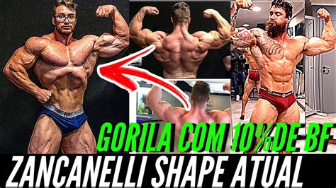 JULIO GORILA 10 DE BF ZANCANELLI SHAPE ATUAL YouTube