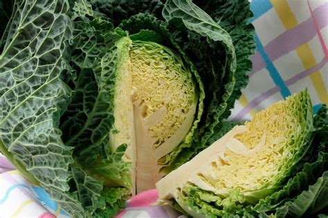 VITAMIN K JE PRESUDAN ZA JEDNU FUNKCIJU U VAŠEM ORGANIZMU: Većina Srba ...