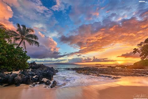 Hawaje Wyspa Maui Morze Zachód słońca Palmy Plaża