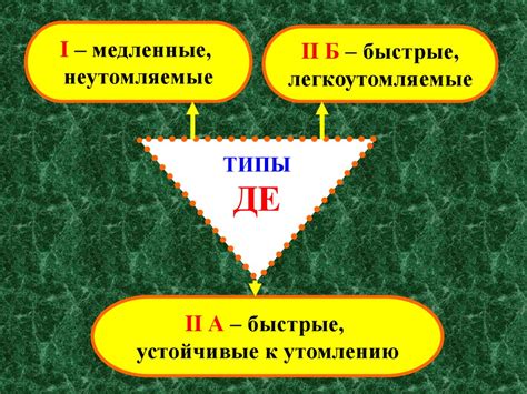 Нервно-мышечная физиология - online presentation
