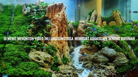 115 Cara Membuat Aquascape Untuk Pemula Paling Mudah YouTube