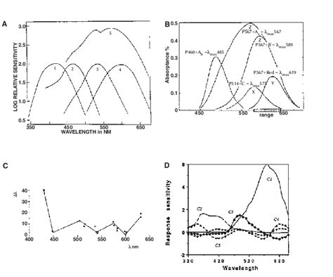 The Color Hyperspace Of Diurnal Birds A Relative Spectral