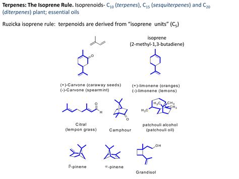 Mevalonate Pathway Ppt