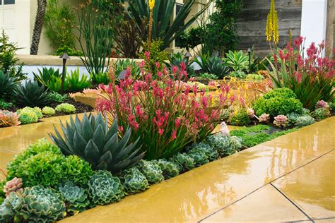 Laguna Niguel Succulent Garden — Living Gardens Landscape Design