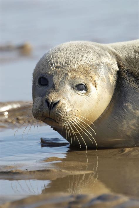 seal1 - FreshPlans