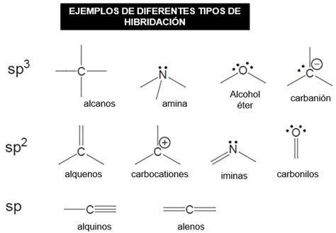 Concepto De Hibridacion Sp Rejos