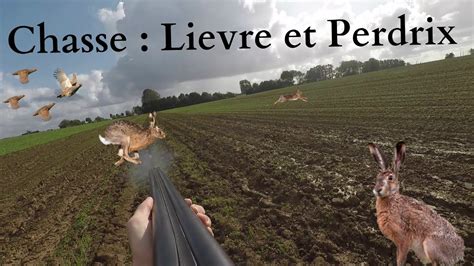 Chasse Petits gibiers Lièvres et Perdrix YouTube