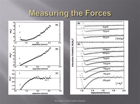 Ppt Entropy In Soft Matter Physics Powerpoint Presentation Free