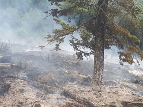 Incendiu Puternic Ntr Un Parc Na Ional Din Vestul Rii Ard