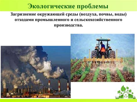 Экология и её значение для устойчивого развития общества - презентация ...