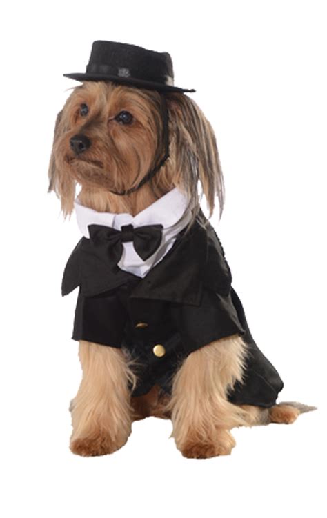 Dog Fancy Dress Costumes
