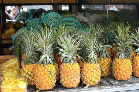 Dieta De La Piña Beneficios Y Recetas Saludables