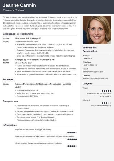 CV Parfait Exemple Pour Faire Le Meilleur CV En 2024