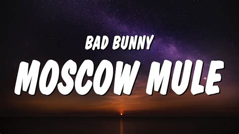 Bad Bunny Moscow Mule Lyrics Youtube