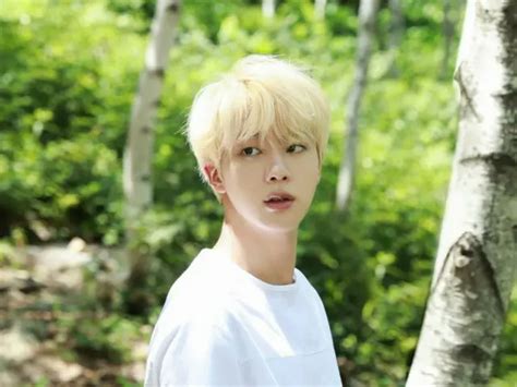 「bts（防弾少年団）」jin、アルゼンチンのファンのアンデス・パタゴニア「キム・ソクジン」森の再植林善良な影響力の実践