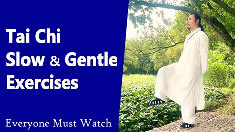 Tai Chi Slow And Gentle Exercises Taichi Zidong Youtube