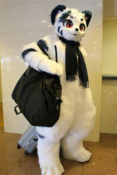 Pin By Tailchaser On Fuzzy Fursuits Furry Art Fursuit Furry
