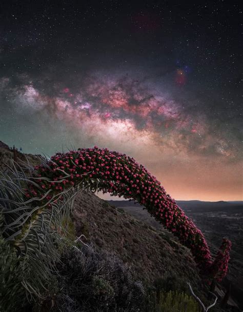 Kardono Limjadi On Twitter Rt Maiz Julio Milky Way Over Tenerife